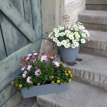 - Mit Charme Und Ausblick