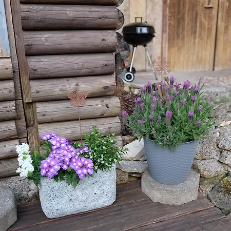 Lägenhet - Mit Charme Und Ausblick Gutenstein